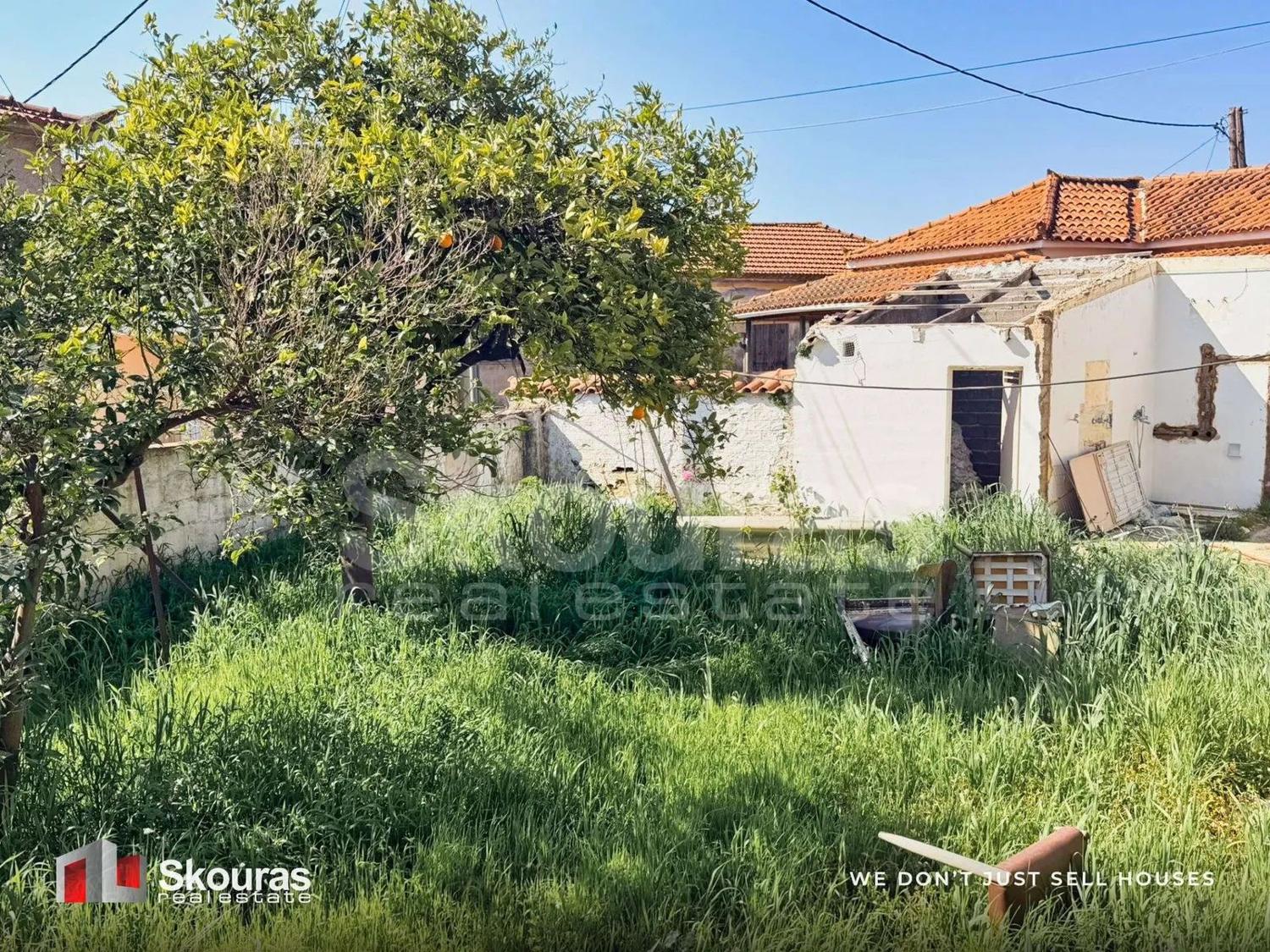 Garden with a citrus tree at the house in Ammos, Messinia