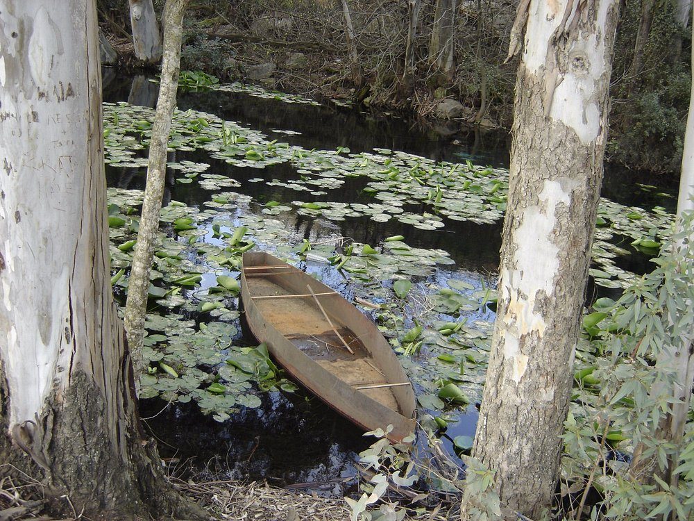 Traditional wooden boat among white water lilies at the Pamisos River Springs, Messinia